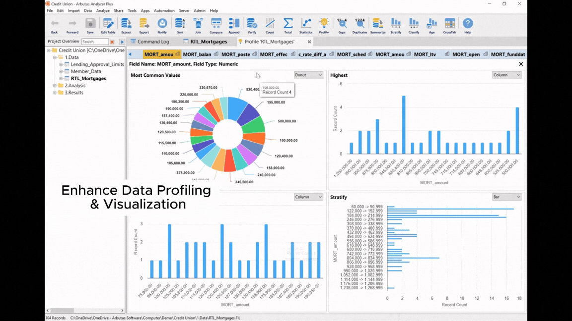 Data Profiling and Viz